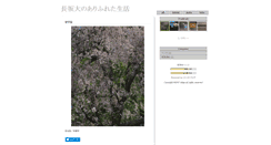 Desktop Screenshot of nagasaka-lab.mega71.com